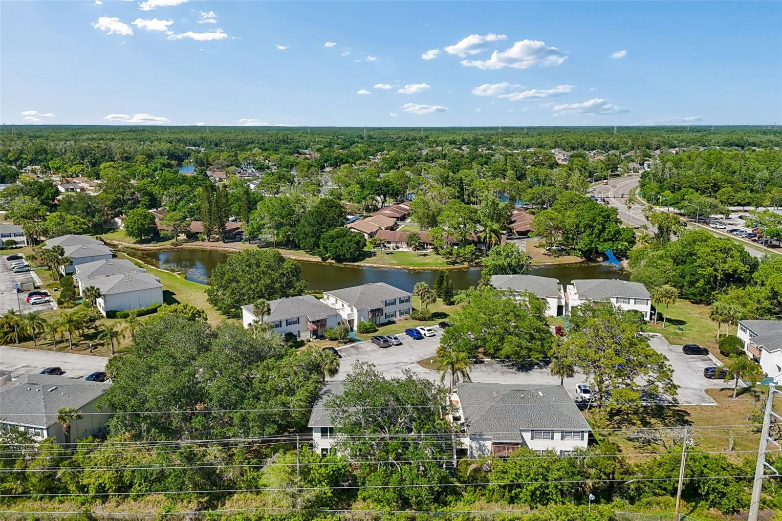 140 HUNTER LAKE DR #8C, OLDSMAR, FL, 34677