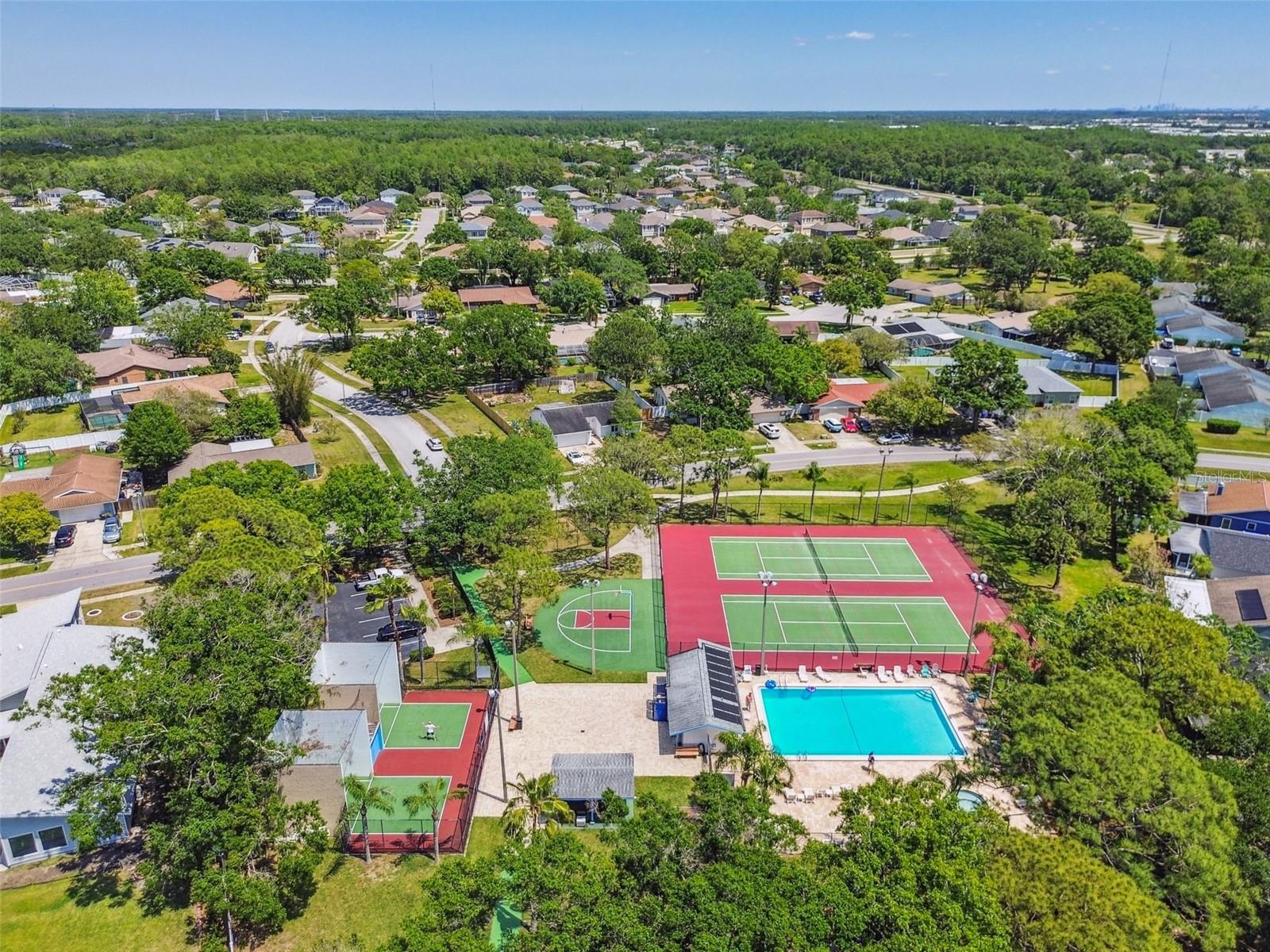 140 HUNTER LAKE DR #8C, OLDSMAR, FL, 34677