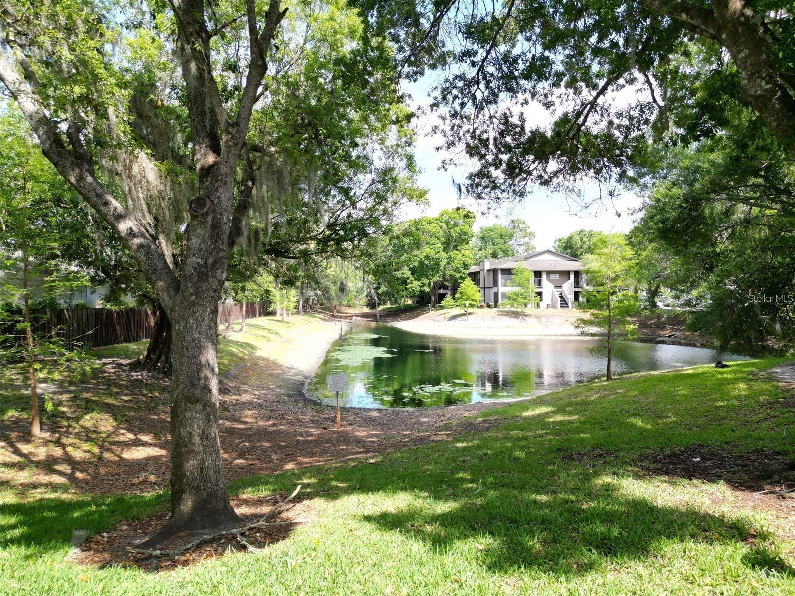 4023 DREAM OAK PL #104, TAMPA, FL, 33613