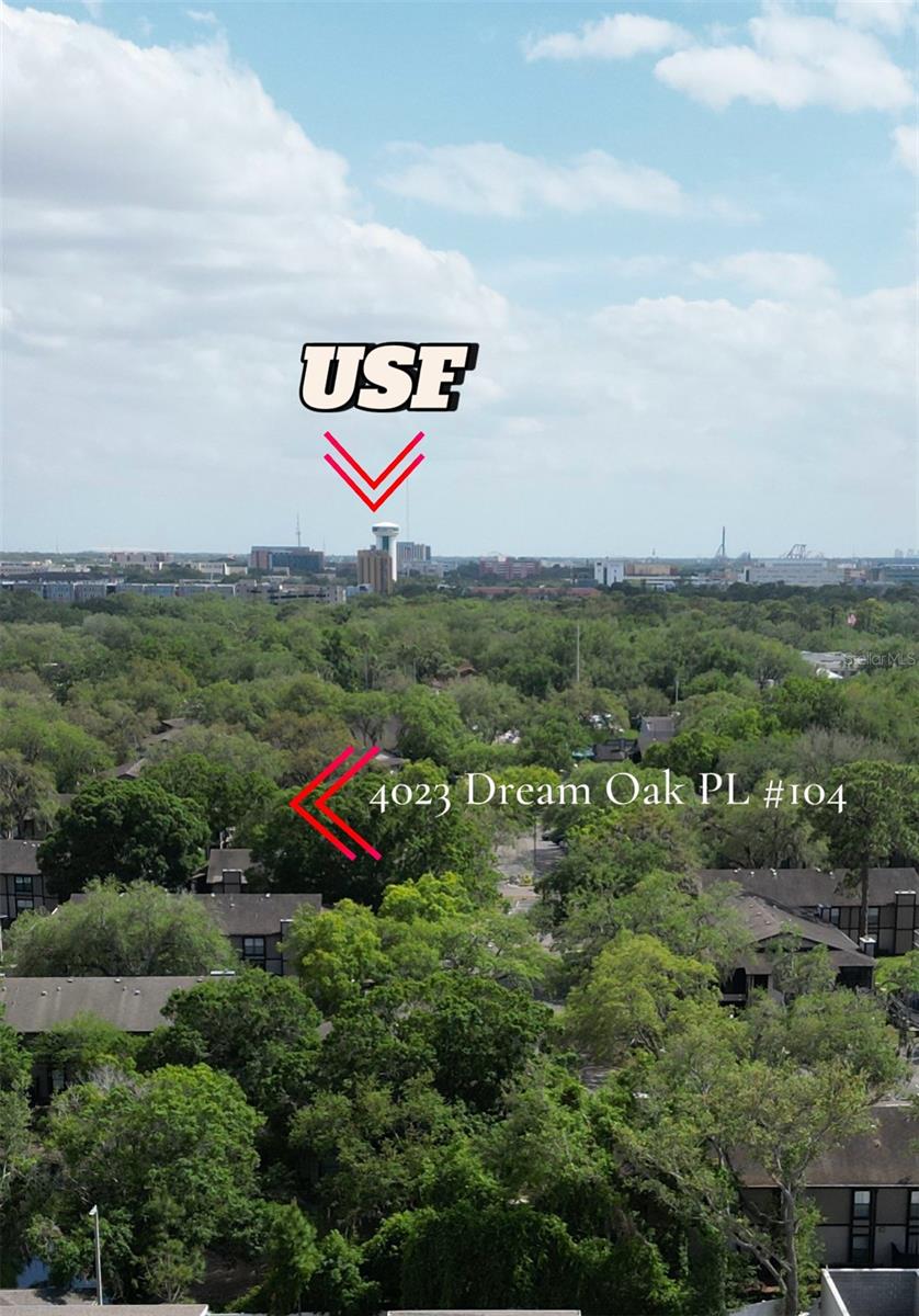 4023 DREAM OAK PL #104, TAMPA, FL, 33613