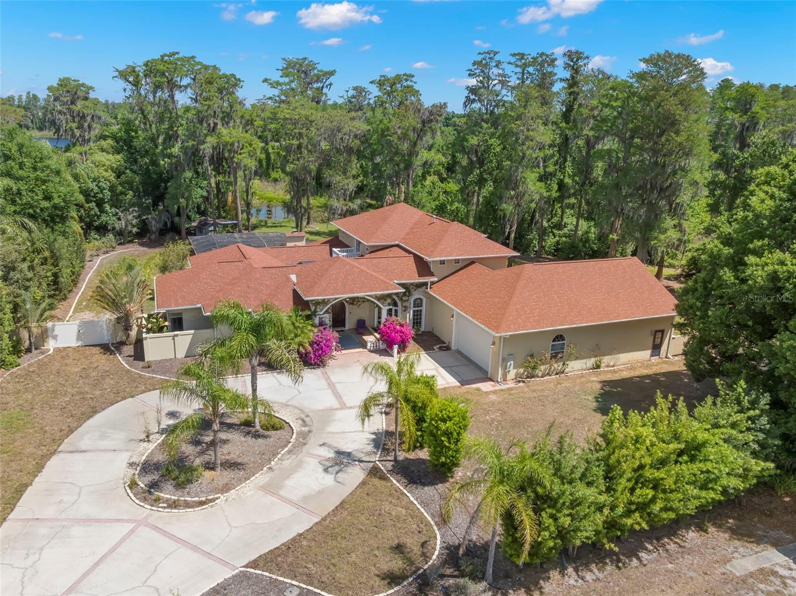 19229 BLOUNT RD, LUTZ, FL, 33558