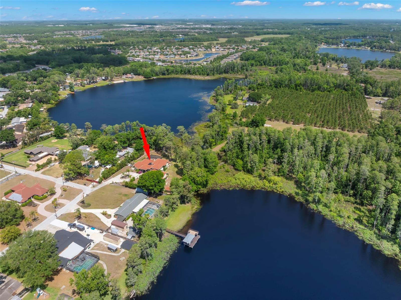 19229 BLOUNT RD, LUTZ, FL, 33558