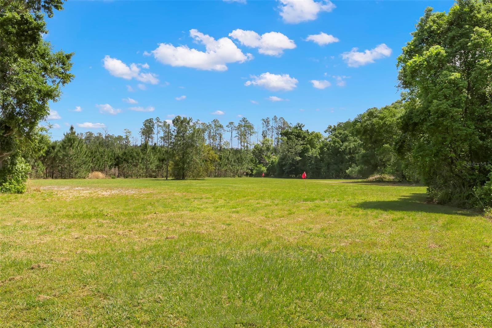 19229 BLOUNT RD, LUTZ, FL, 33558