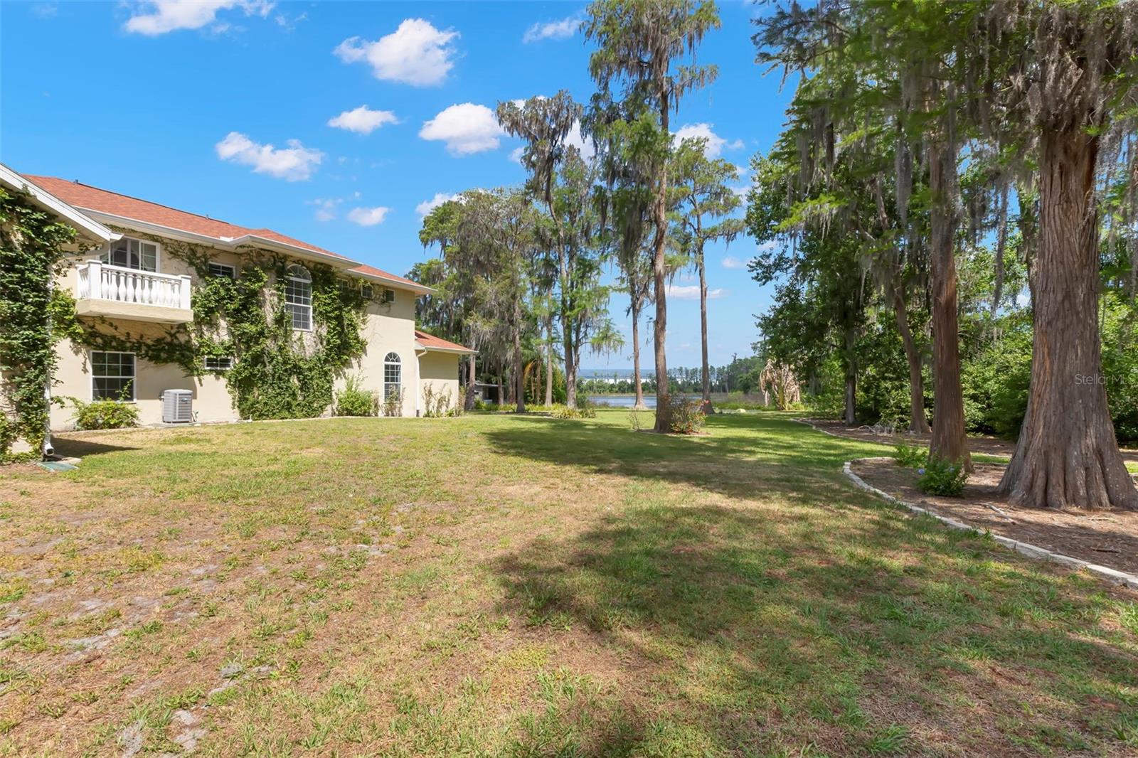 19229 BLOUNT RD, LUTZ, FL, 33558