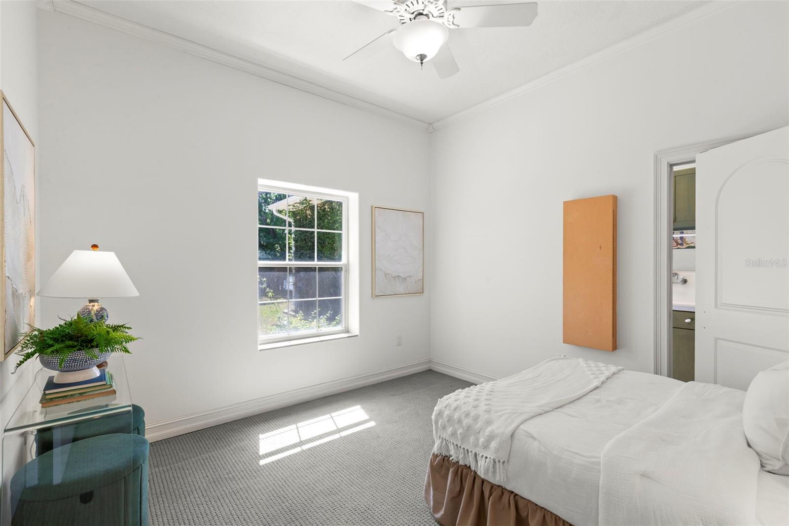 19229 BLOUNT RD, LUTZ, FL, 33558