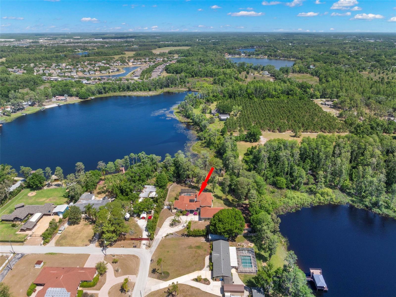 19229 BLOUNT RD, LUTZ, FL, 33558