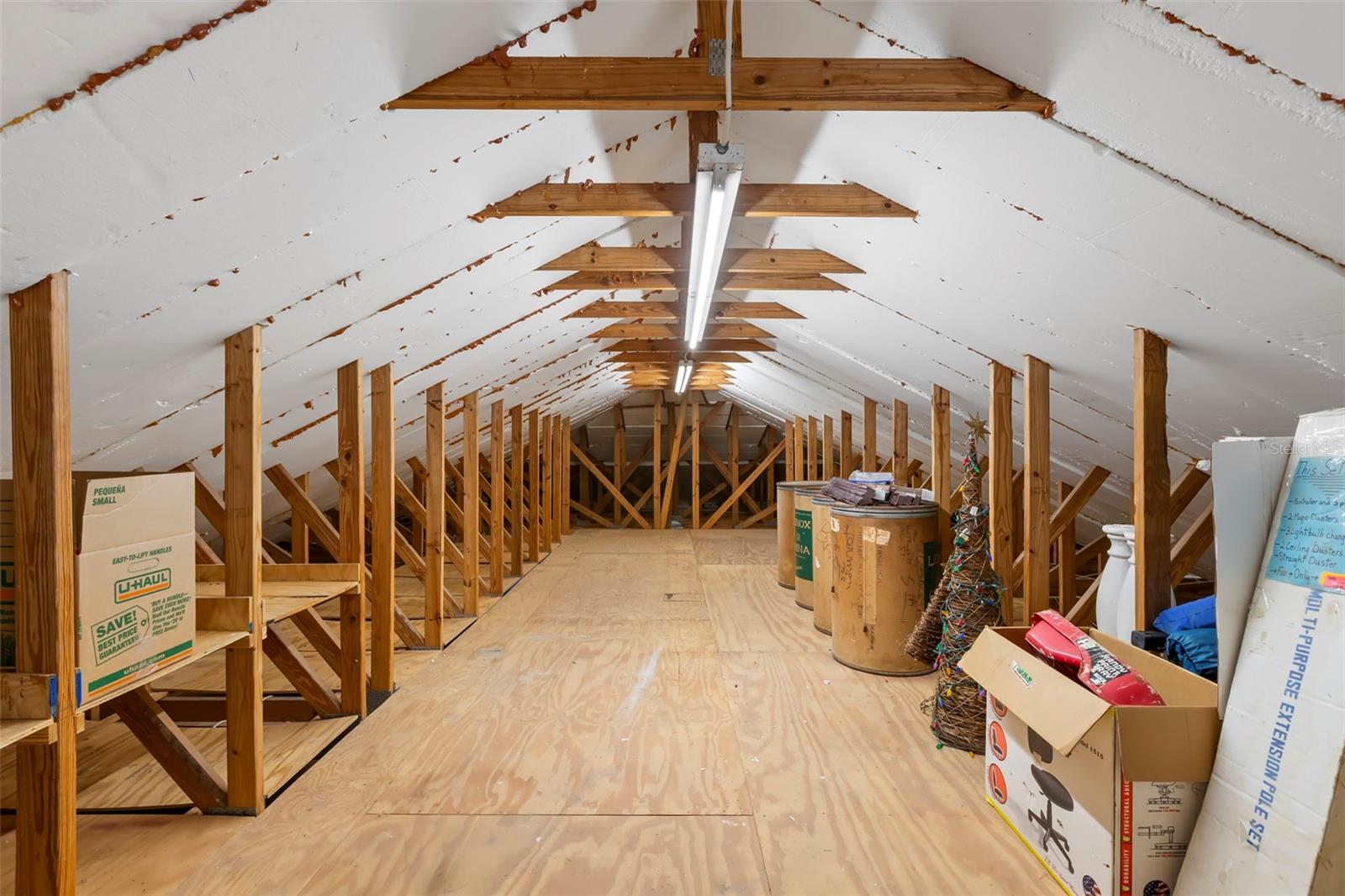 19229 BLOUNT RD, LUTZ, FL, 33558