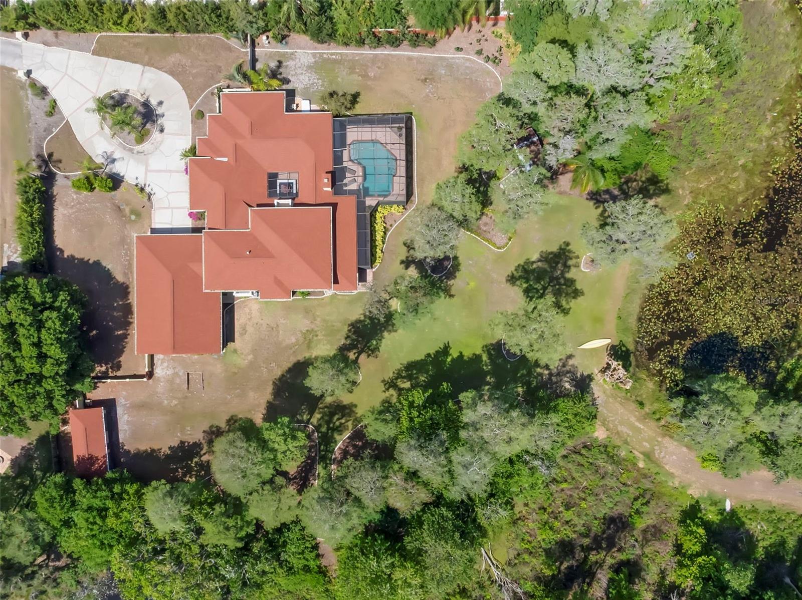 19229 BLOUNT RD, LUTZ, FL, 33558