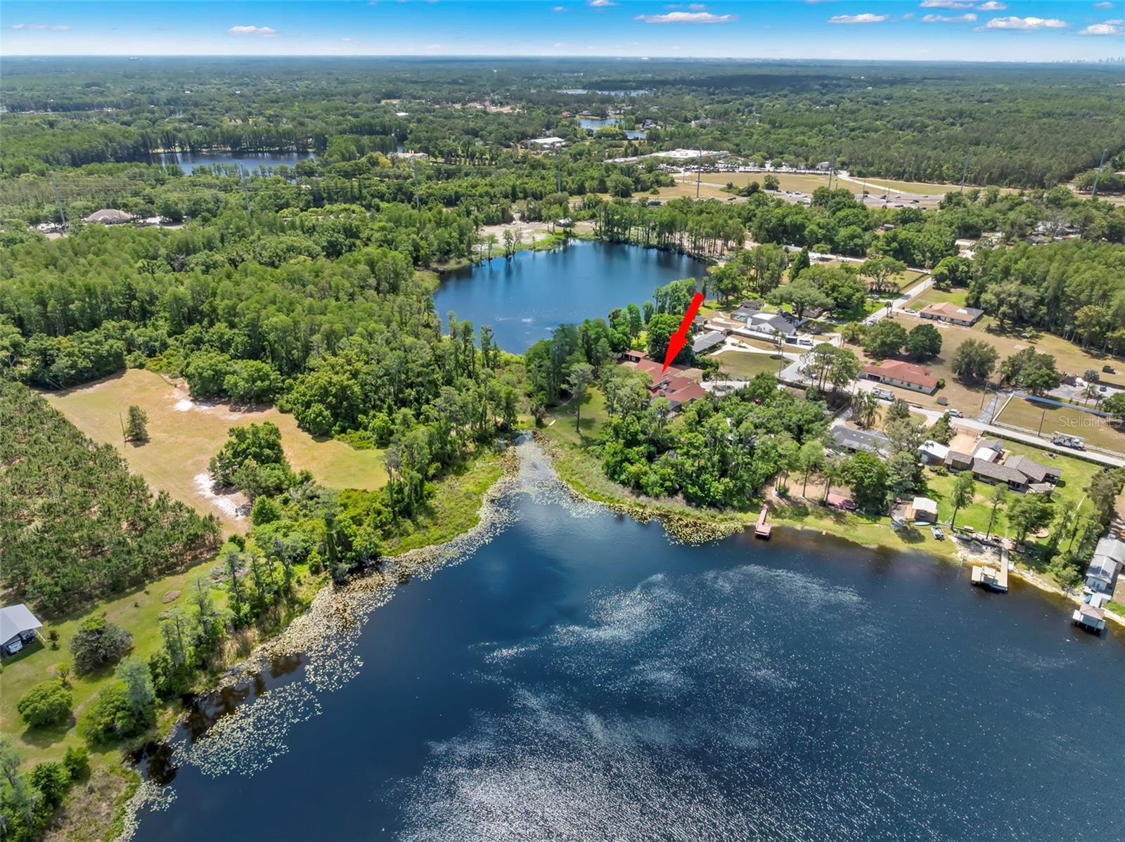 19229 BLOUNT RD, LUTZ, FL, 33558