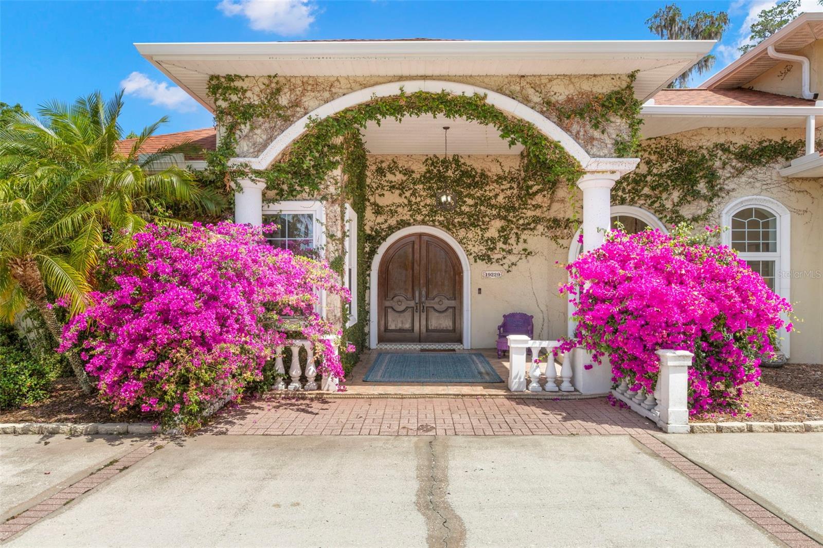 19229 BLOUNT RD, LUTZ, FL, 33558