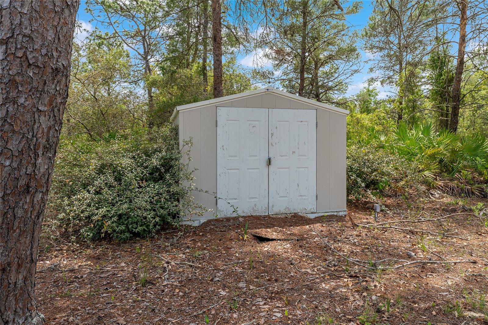 8212 N ZAVAL AVE, DUNNELLON, FL, 34433