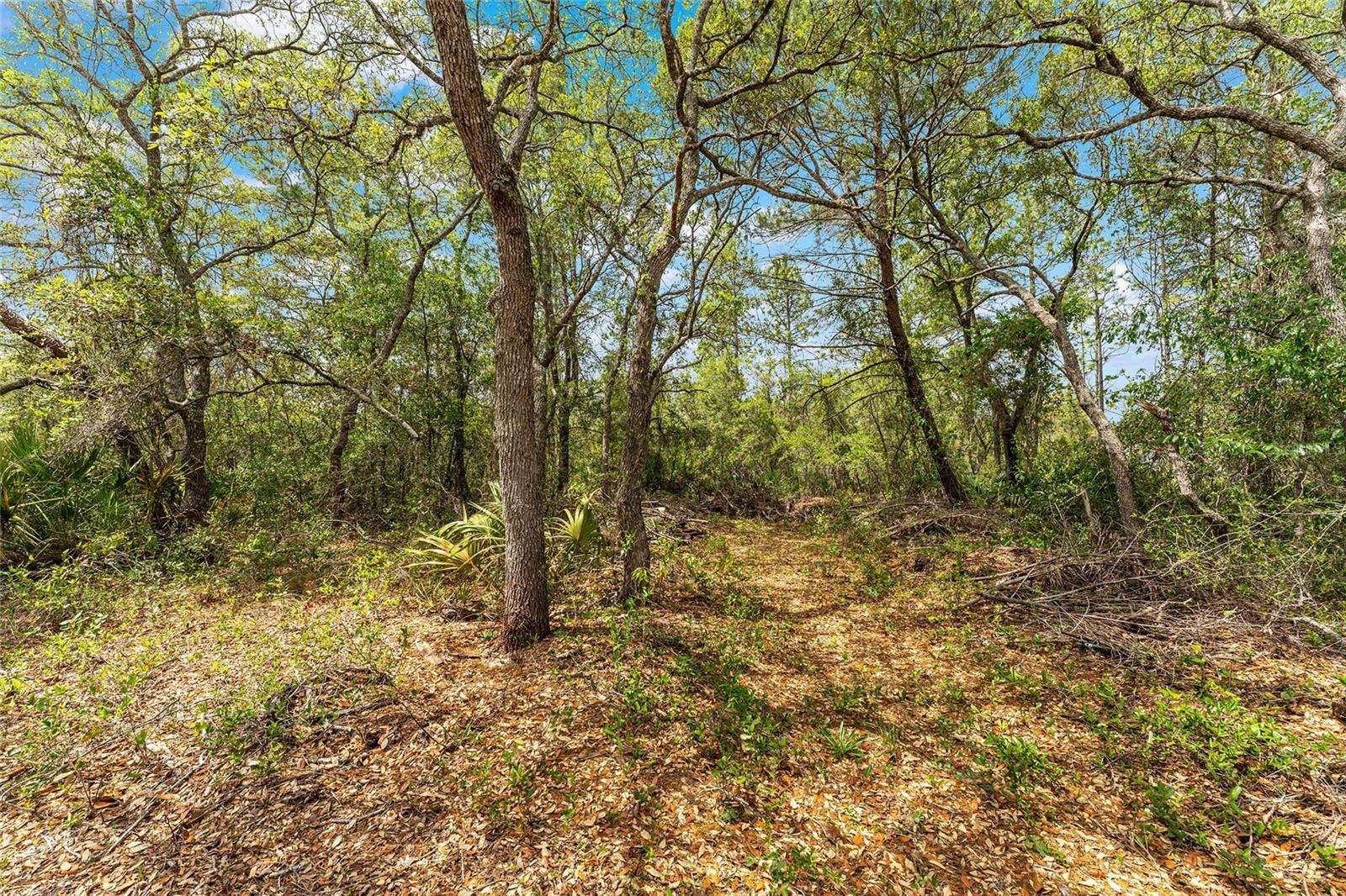 8212 N ZAVAL AVE, DUNNELLON, FL, 34433