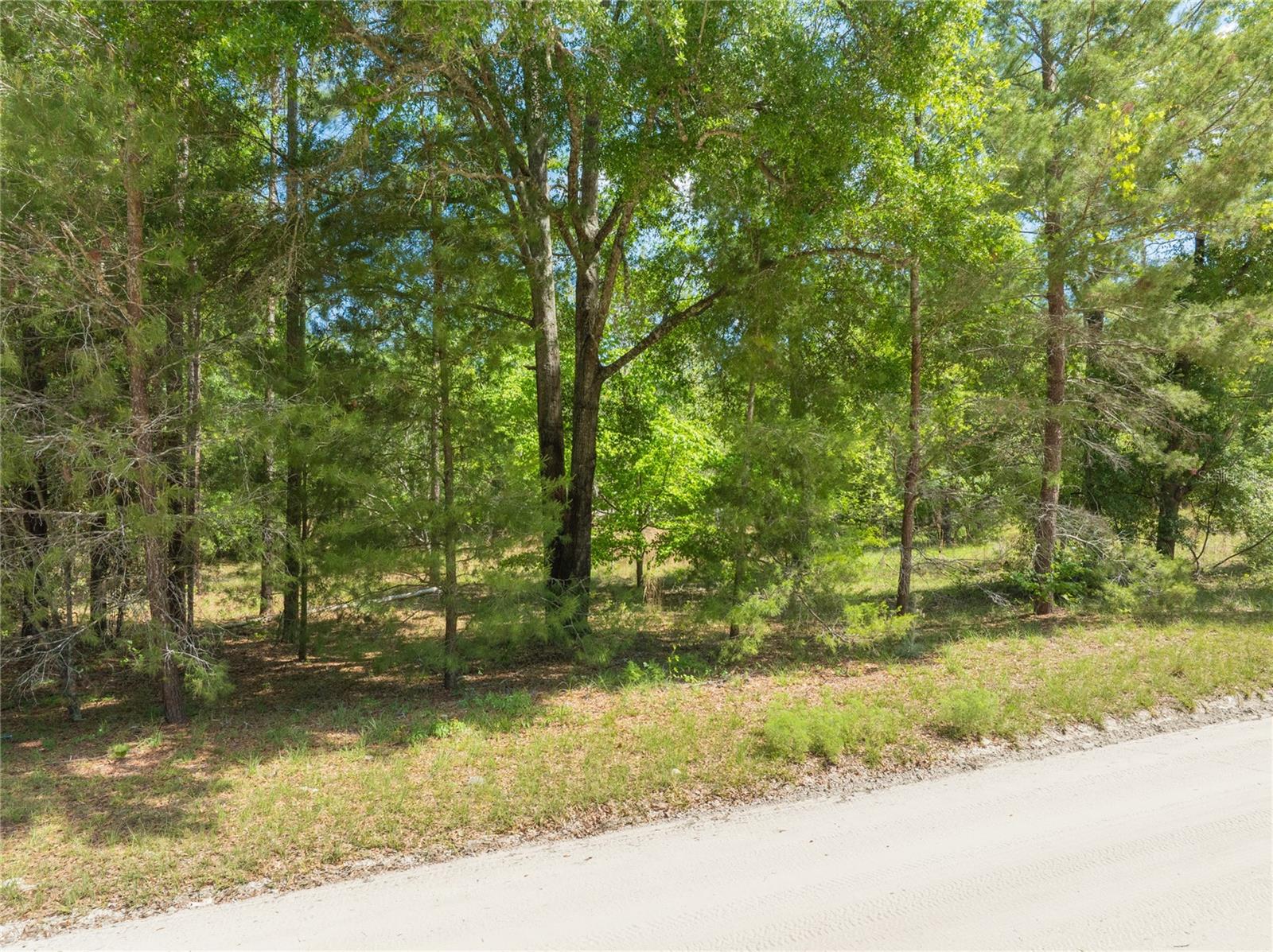 0 PINE WAY, O'BRIEN, FL, 32071