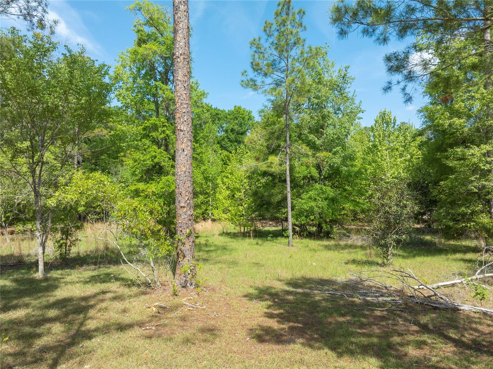0 PINE WAY, O'BRIEN, FL, 32071