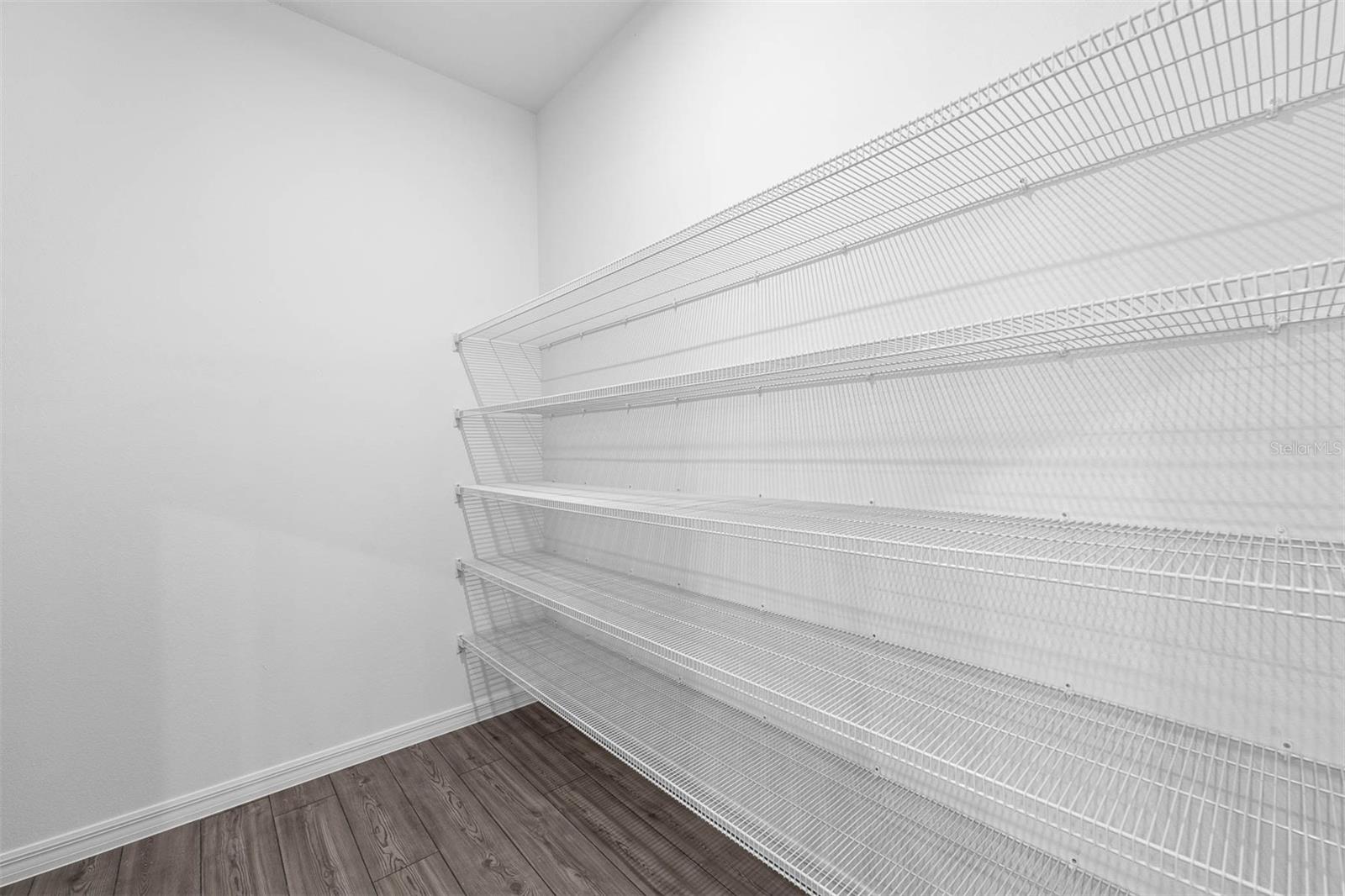 4678 INNER WORLD LN, WESLEY CHAPEL, FL, 33543