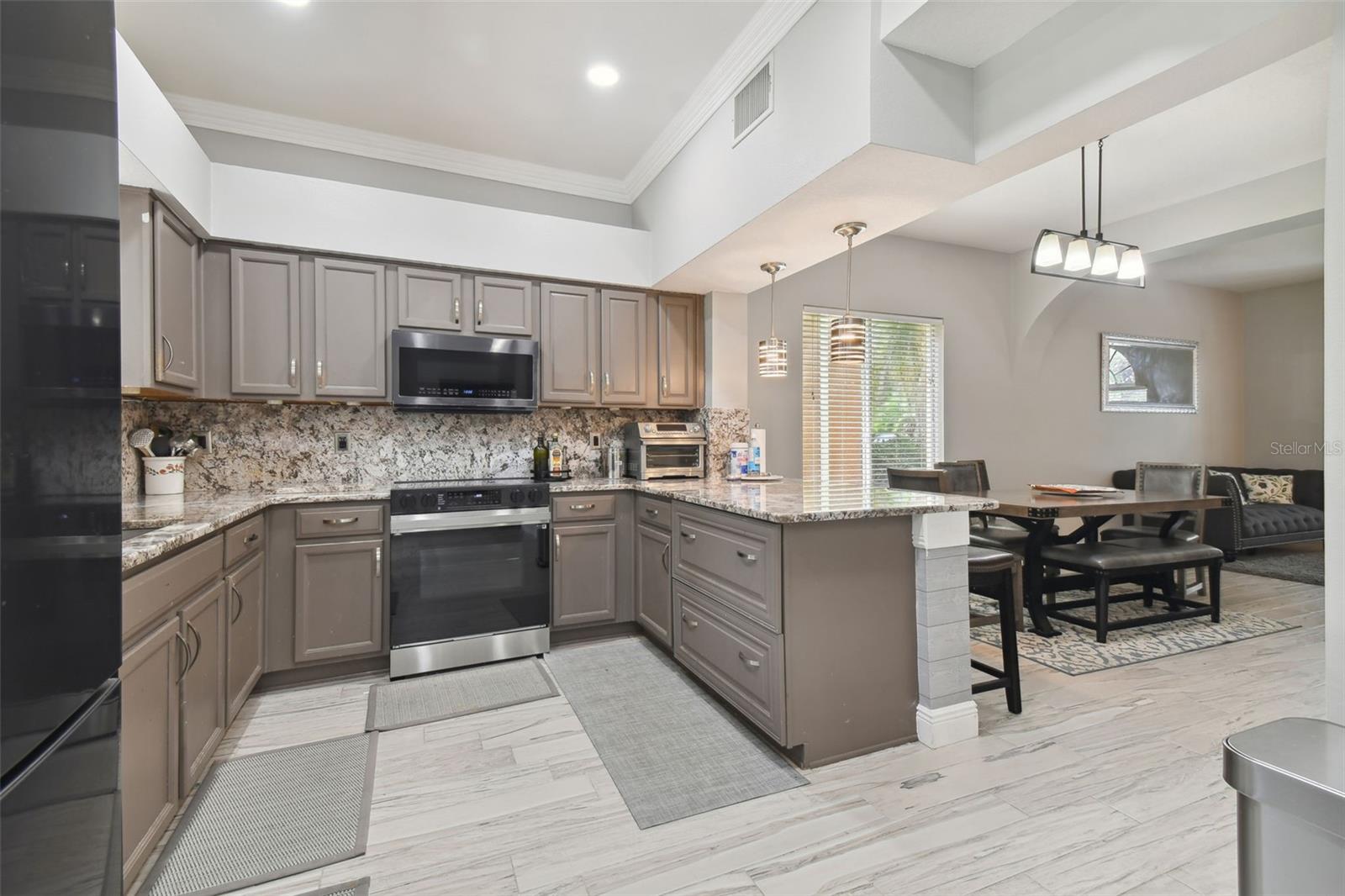 19426 SANDY SPRINGS CIR, LUTZ, FL, 33558