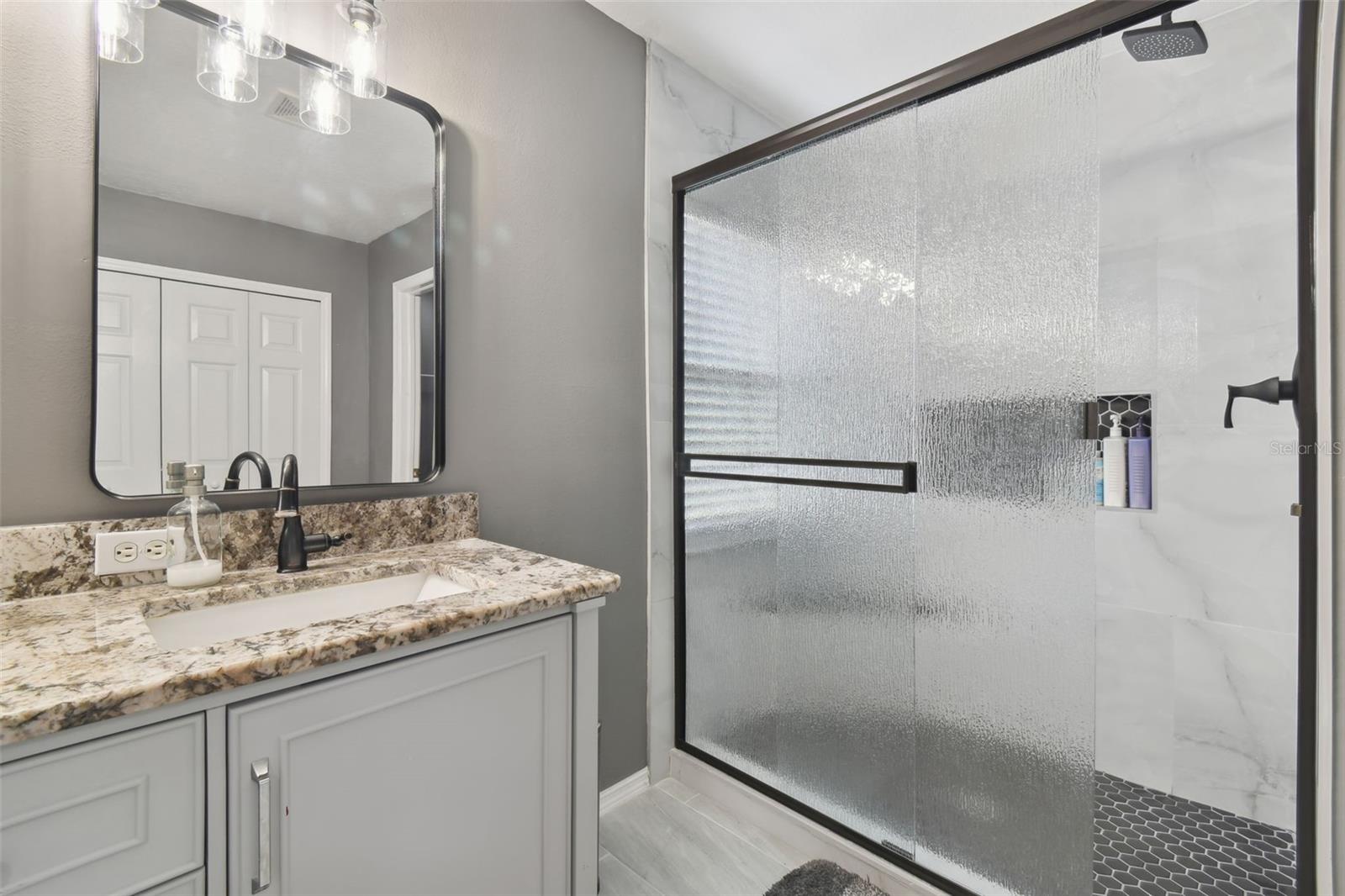 19426 SANDY SPRINGS CIR, LUTZ, FL, 33558