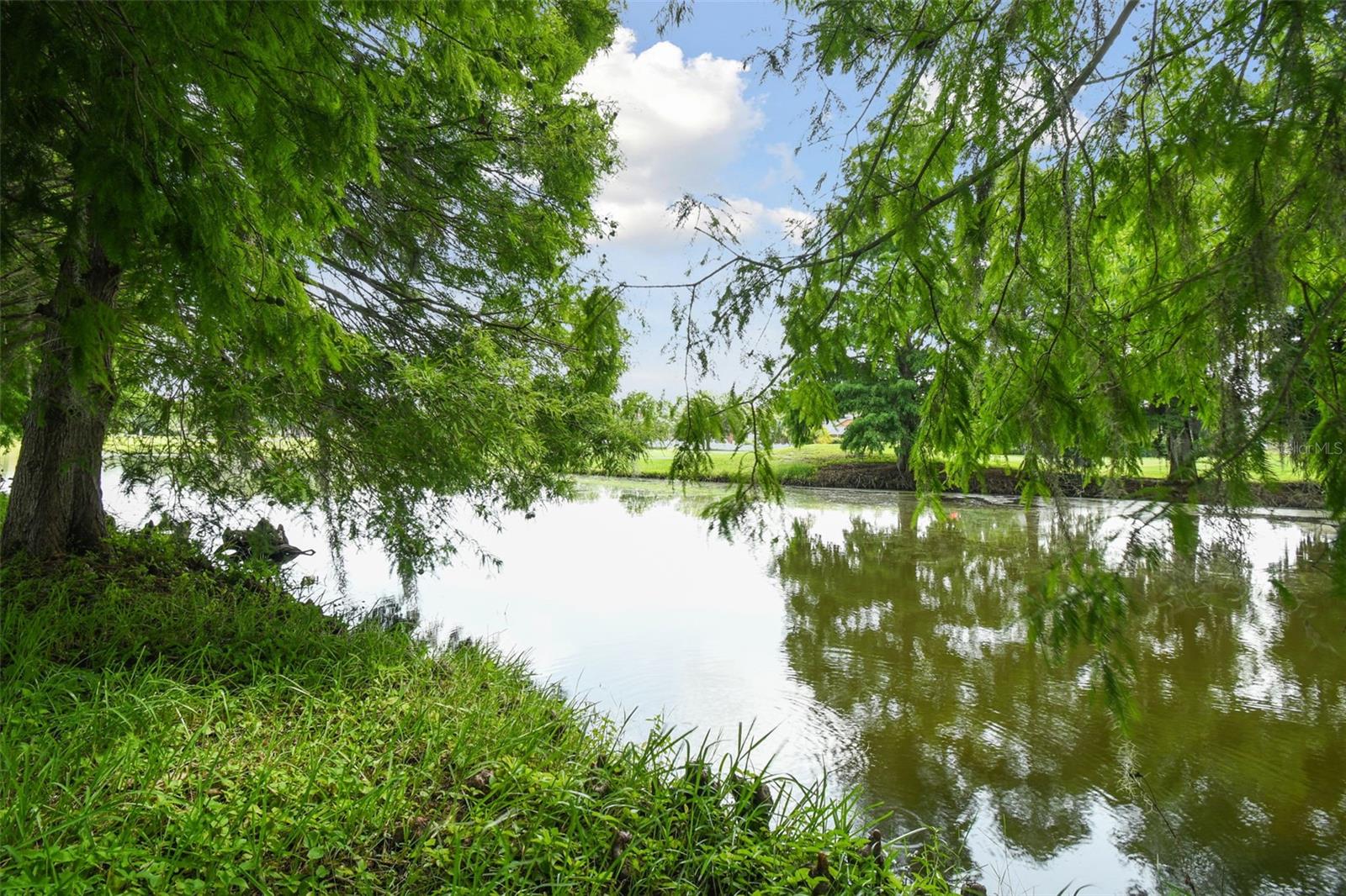 19426 SANDY SPRINGS CIR, LUTZ, FL, 33558