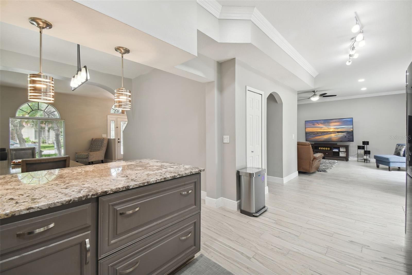 19426 SANDY SPRINGS CIR, LUTZ, FL, 33558