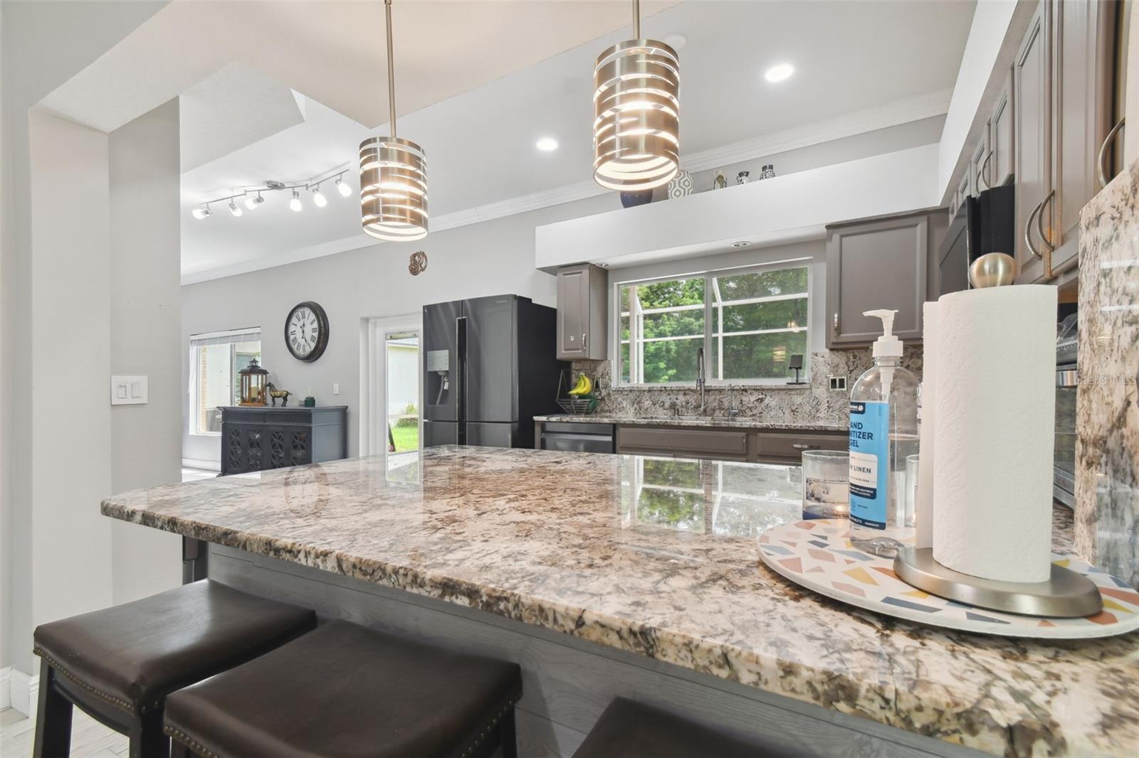 19426 SANDY SPRINGS CIR, LUTZ, FL, 33558