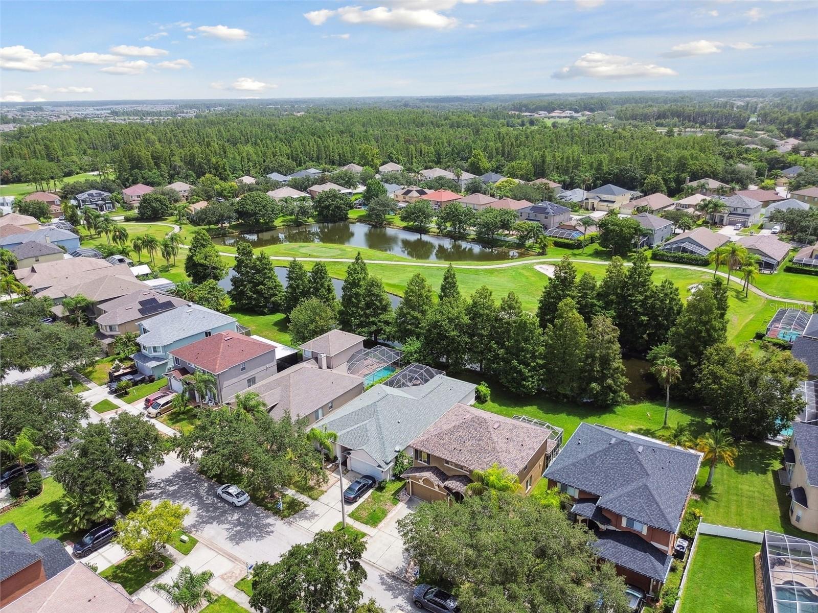 19426 SANDY SPRINGS CIR, LUTZ, FL, 33558