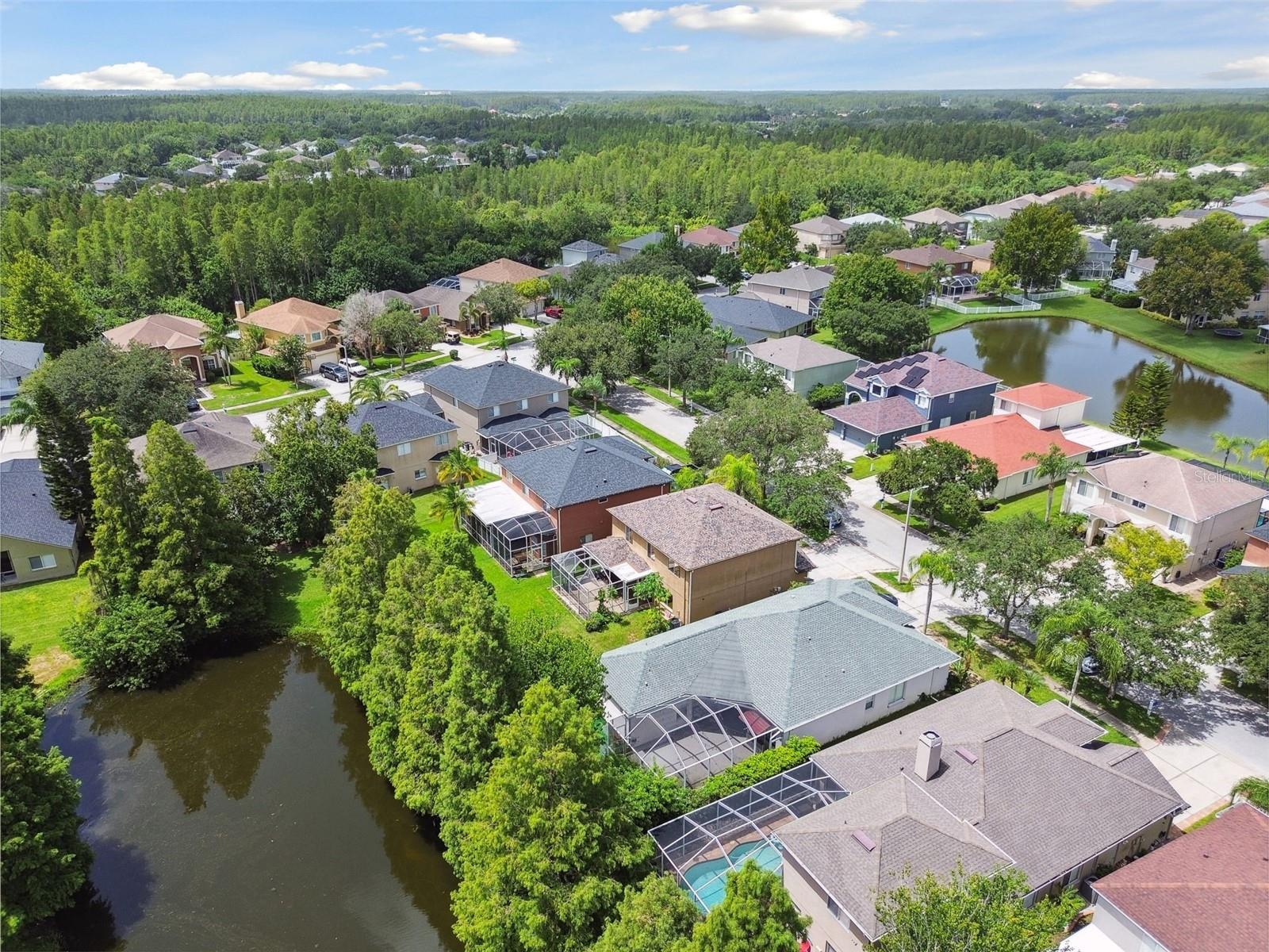 19426 SANDY SPRINGS CIR, LUTZ, FL, 33558