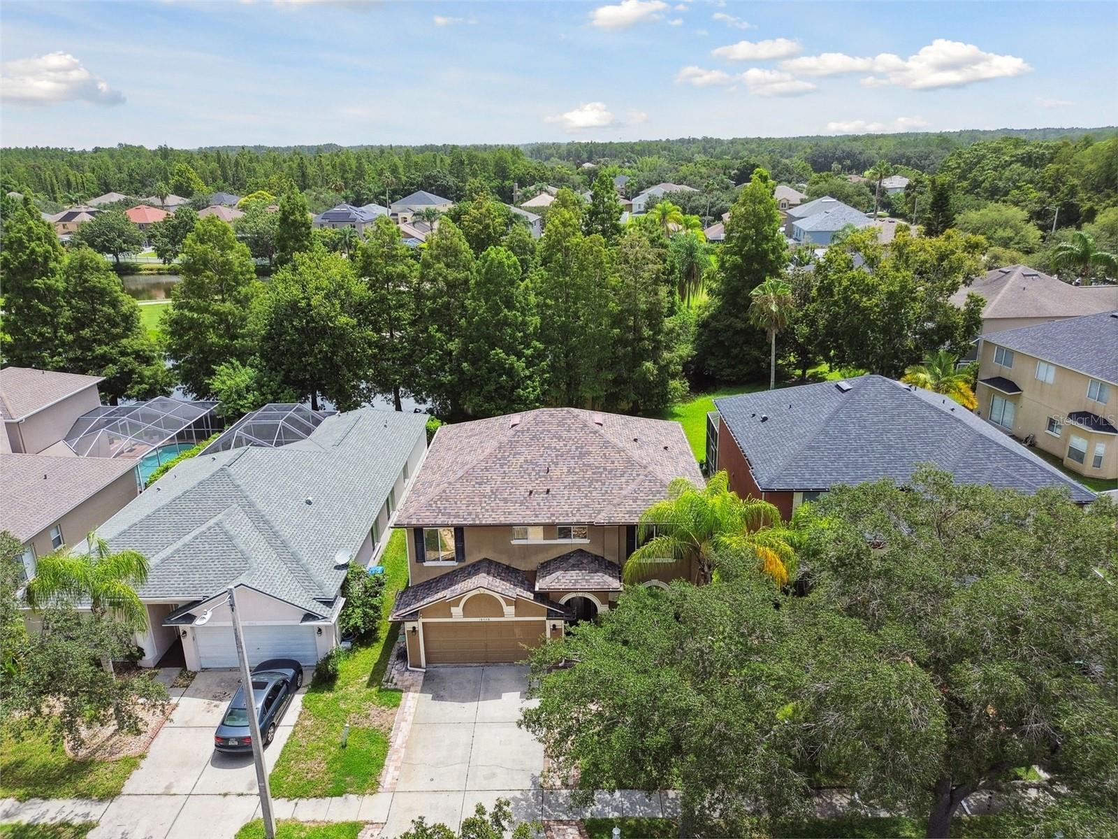 19426 SANDY SPRINGS CIR, LUTZ, FL, 33558