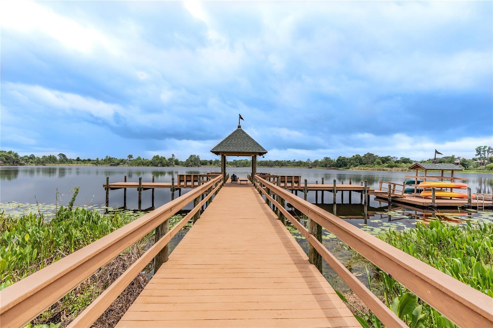 21246 QUIET HAVEN CT, LAND O LAKES, FL, 34637