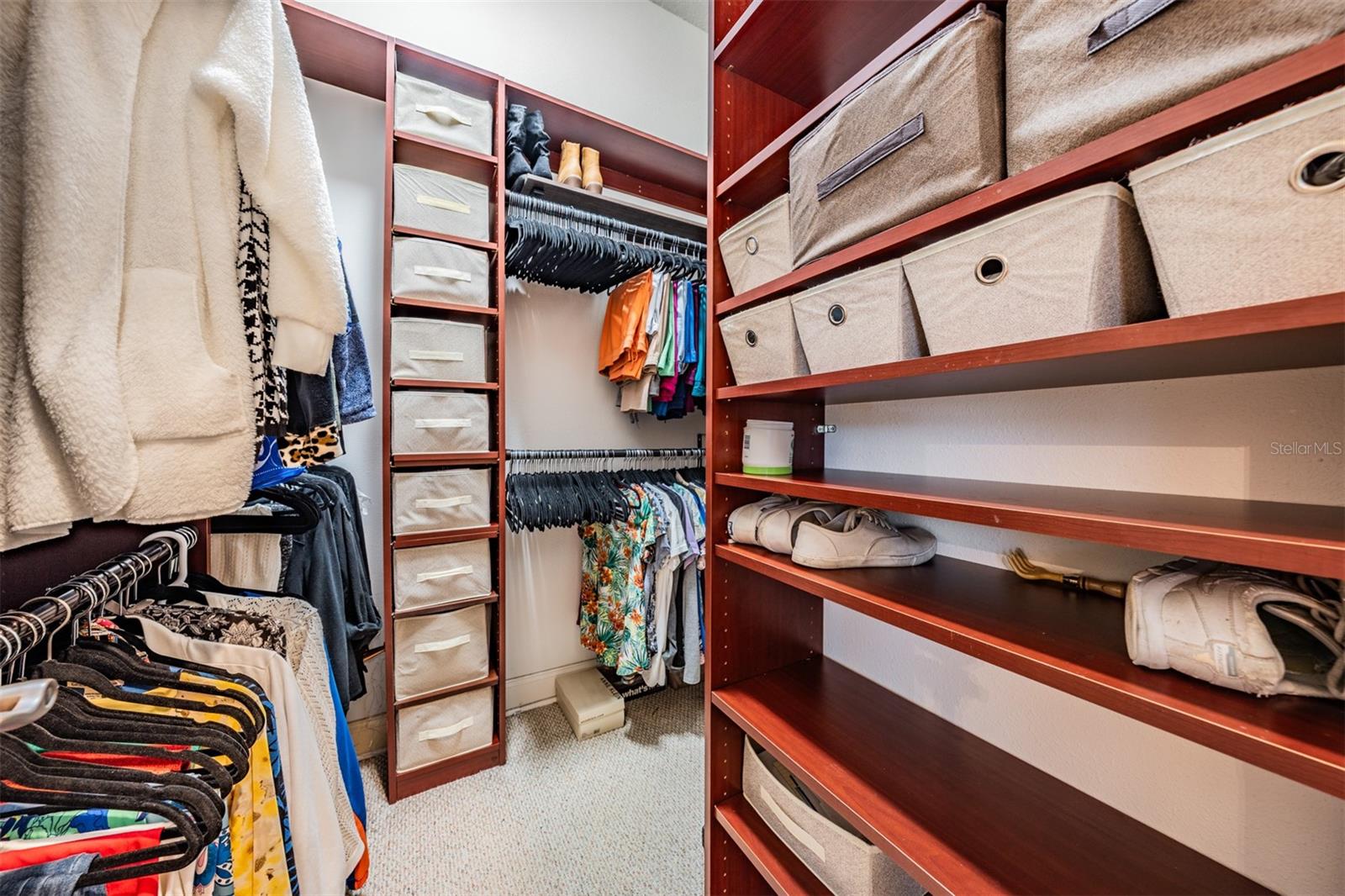 21246 QUIET HAVEN CT, LAND O LAKES, FL, 34637