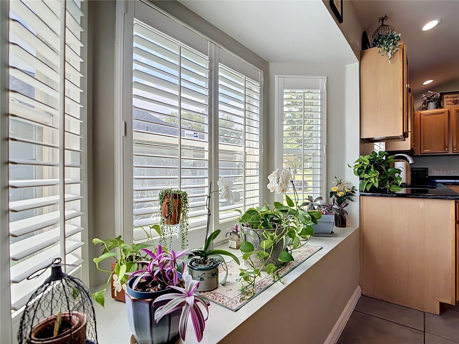 13256 WHISPER BAY DR, CLERMONT, FL, 34711