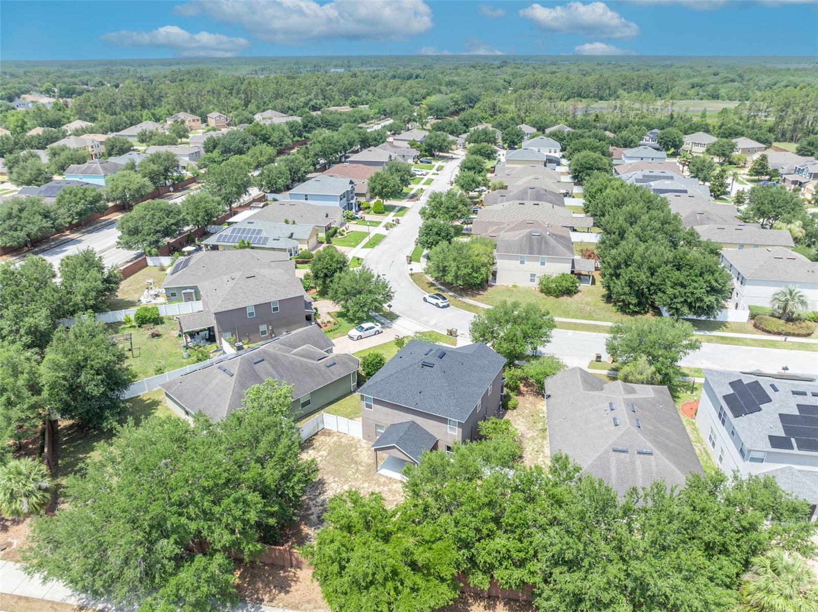 3639 RYEGRASS ST, CLERMONT, FL, 34714