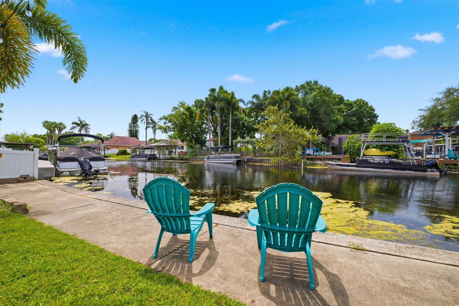 51 CYPRESS DR, PALM HARBOR, FL, 34684