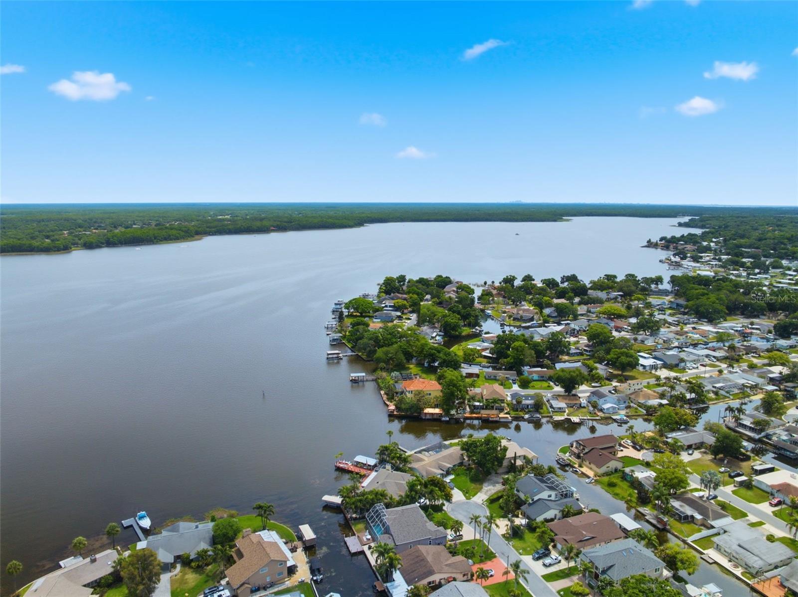 51 CYPRESS DR, PALM HARBOR, FL, 34684