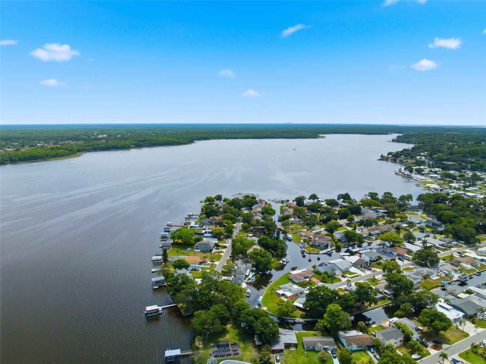 51 CYPRESS DR, PALM HARBOR, FL, 34684