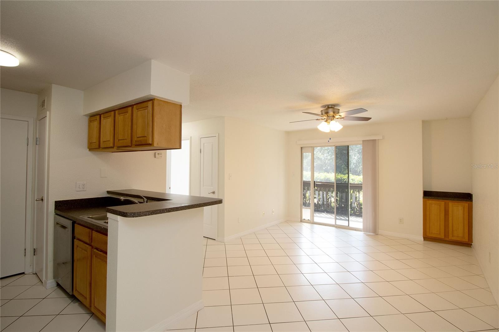 9100 DR MARTIN LUTHER KING JR ST N #1507, ST PETERSBURG, FL, 33702