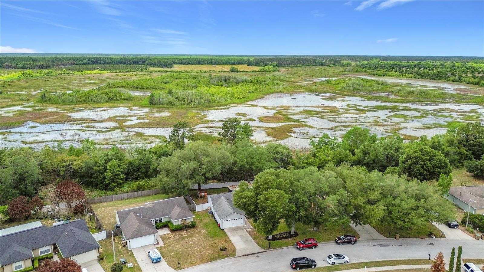 15121 MARGAUX DR, CLERMONT, FL, 34714