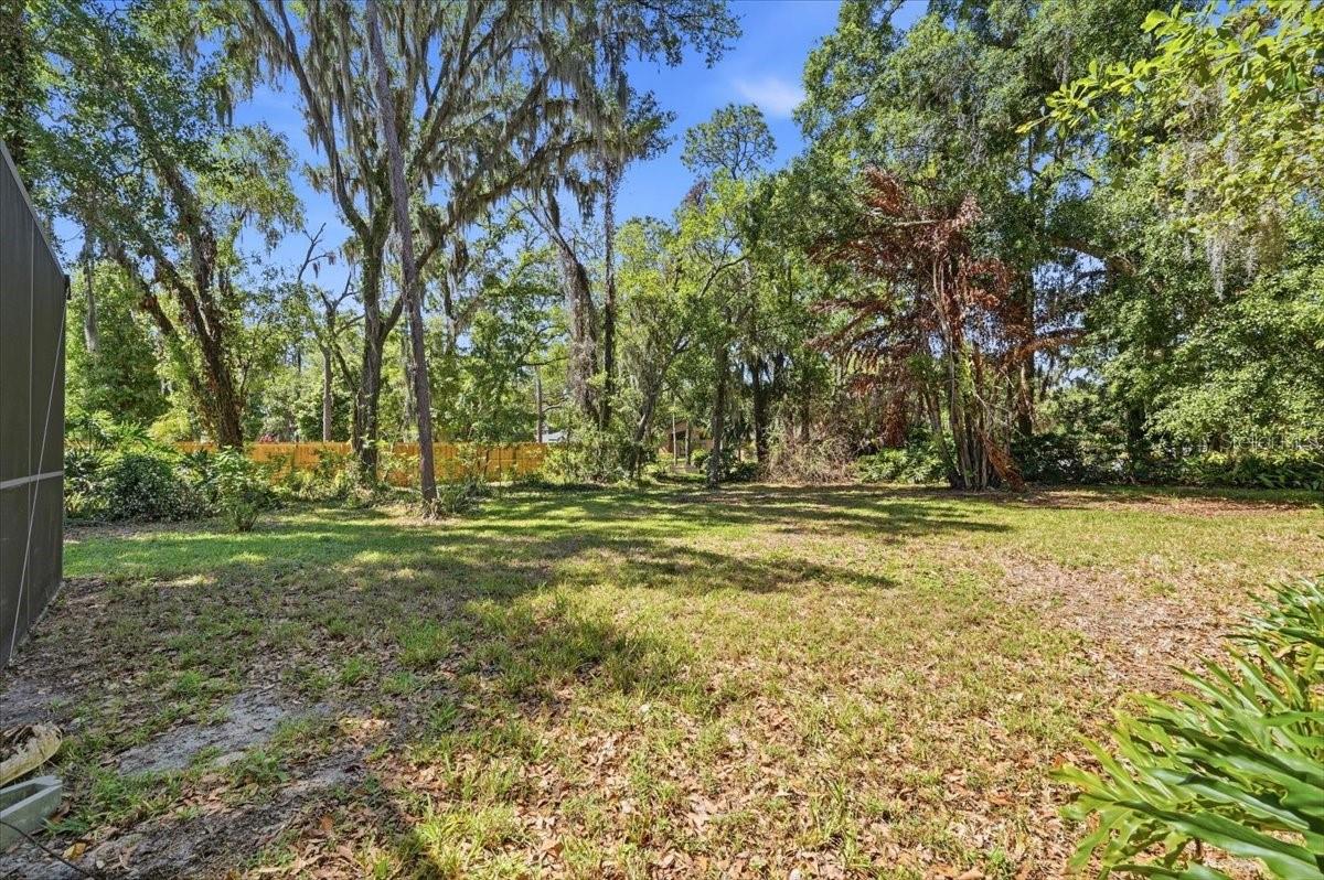 2800 HAMMOCK DR, PLANT CITY, FL, 33566