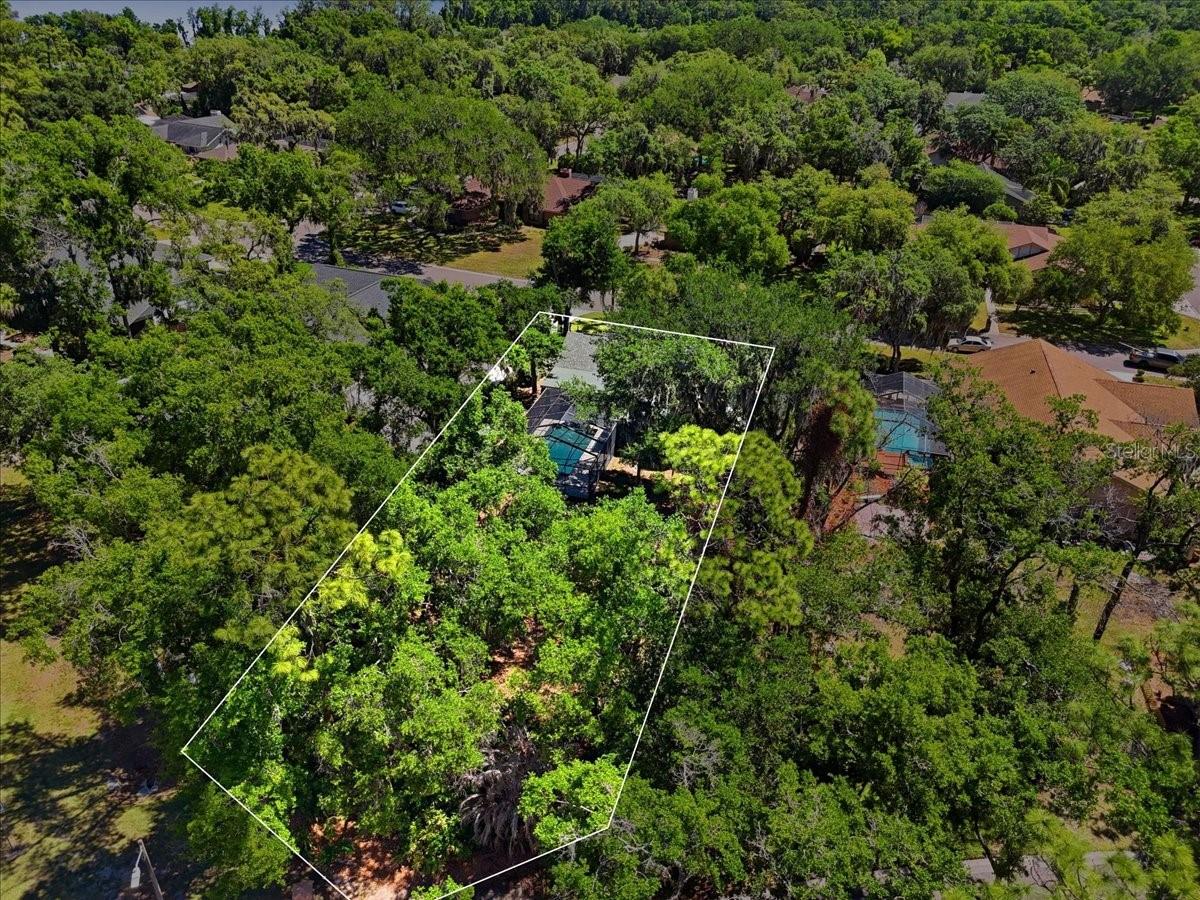 2800 HAMMOCK DR, PLANT CITY, FL, 33566