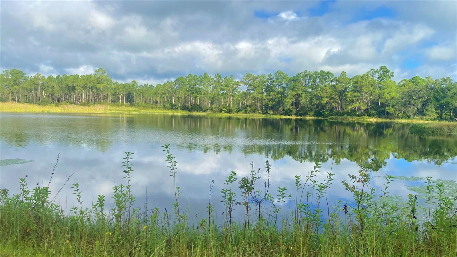 19507 HWY 60 E, LAKE WALES, FL, 33898