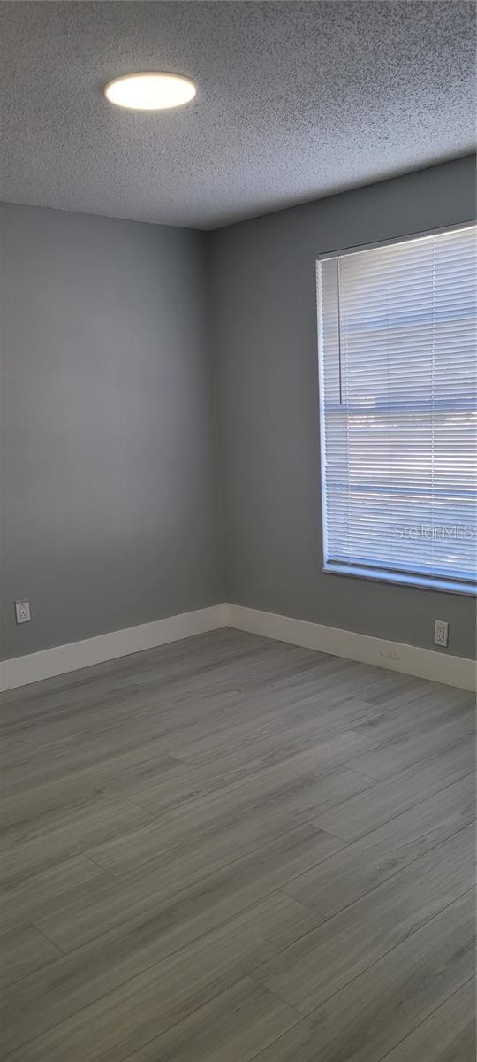 1405 CASTLEWORKS LN, TARPON SPRINGS, FL, 34689