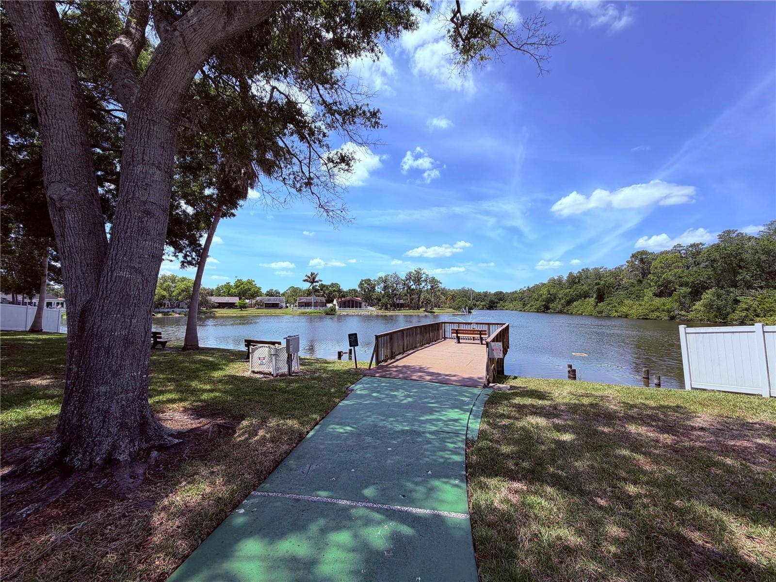 129 CAMPHOR CIR #F, OLDSMAR, FL, 34677