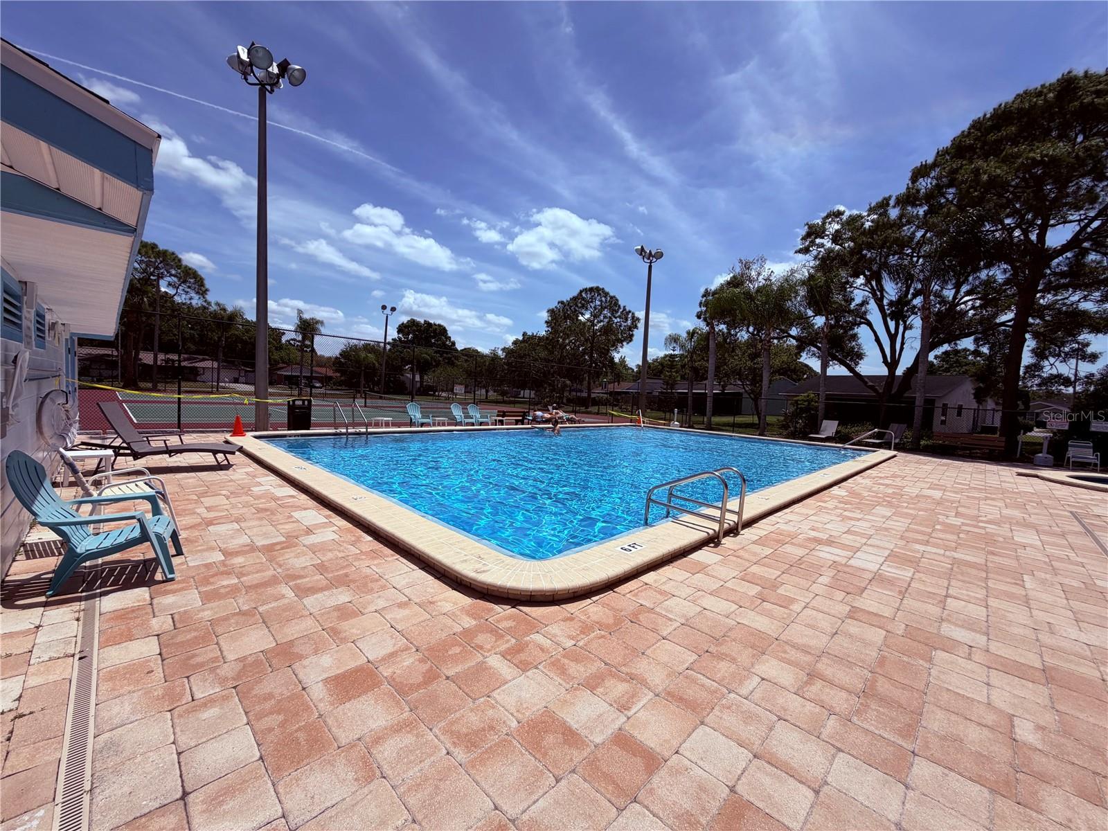 129 CAMPHOR CIR #F, OLDSMAR, FL, 34677