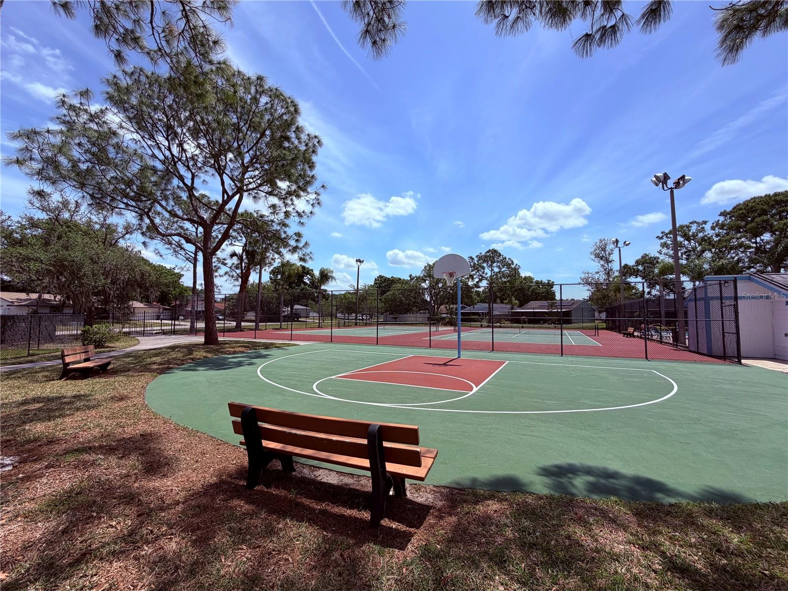 129 CAMPHOR CIR #F, OLDSMAR, FL, 34677