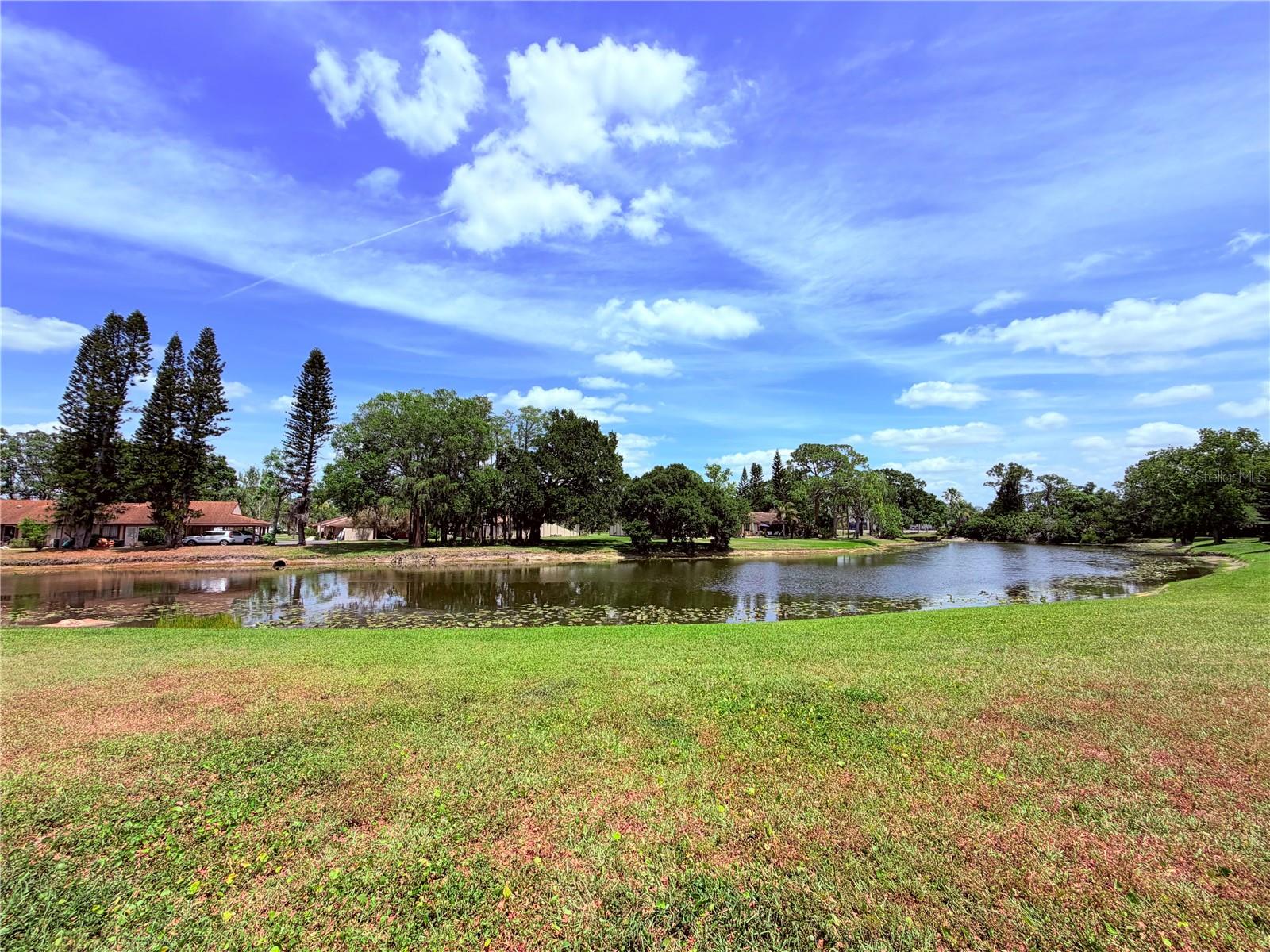 129 CAMPHOR CIR #F, OLDSMAR, FL, 34677