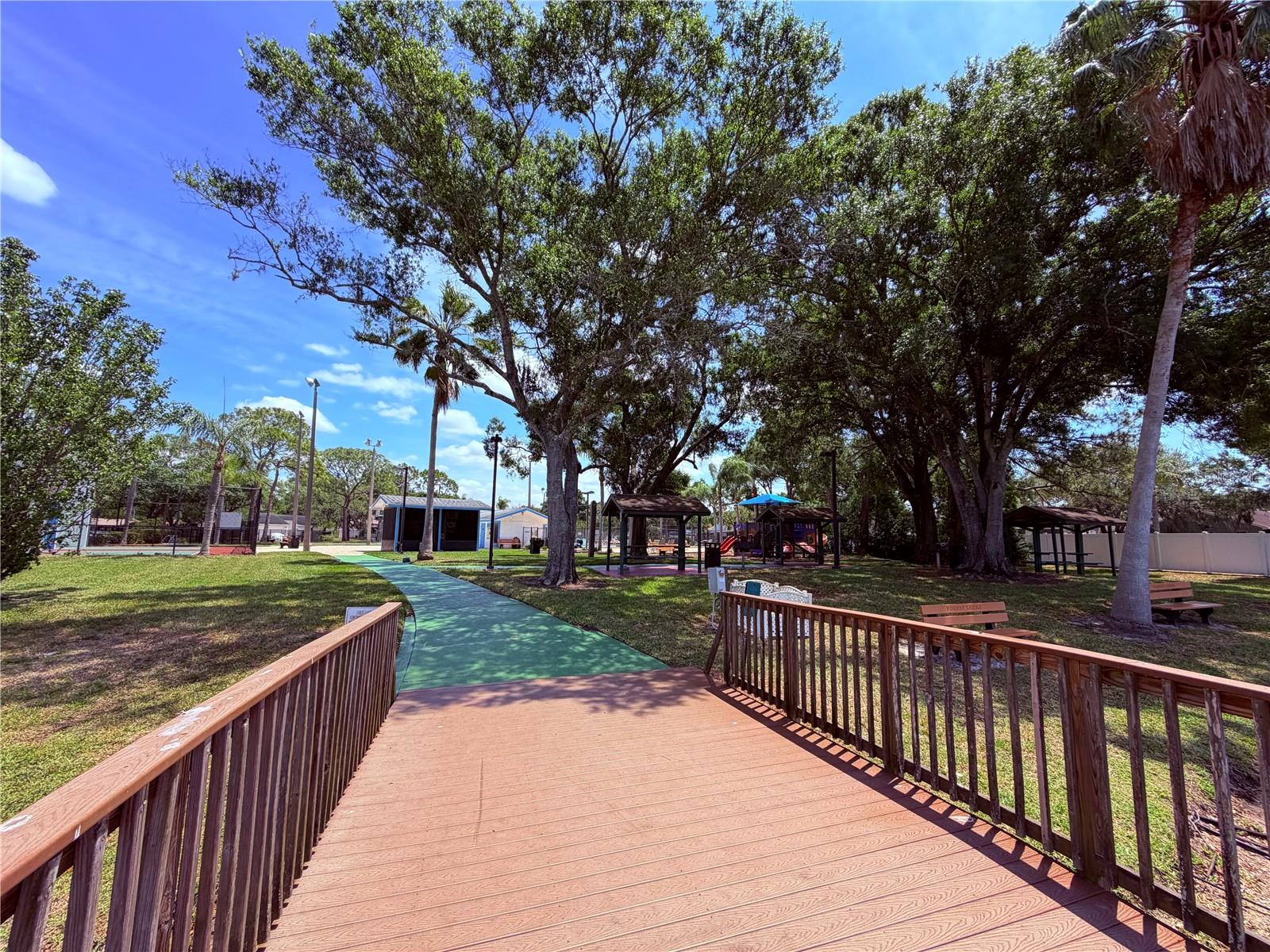 129 CAMPHOR CIR #F, OLDSMAR, FL, 34677