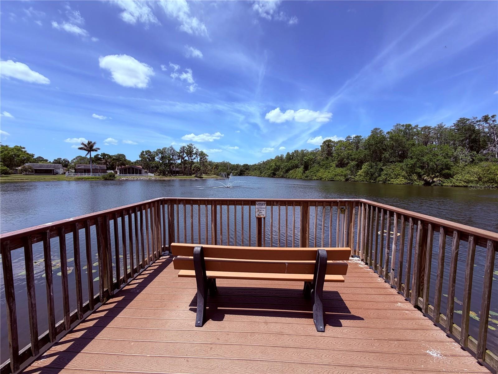 129 CAMPHOR CIR #F, OLDSMAR, FL, 34677