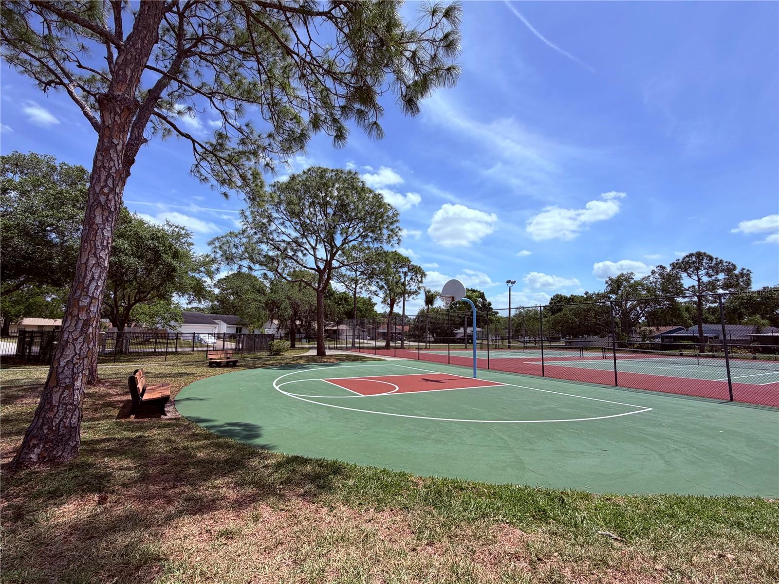 129 CAMPHOR CIR #F, OLDSMAR, FL, 34677