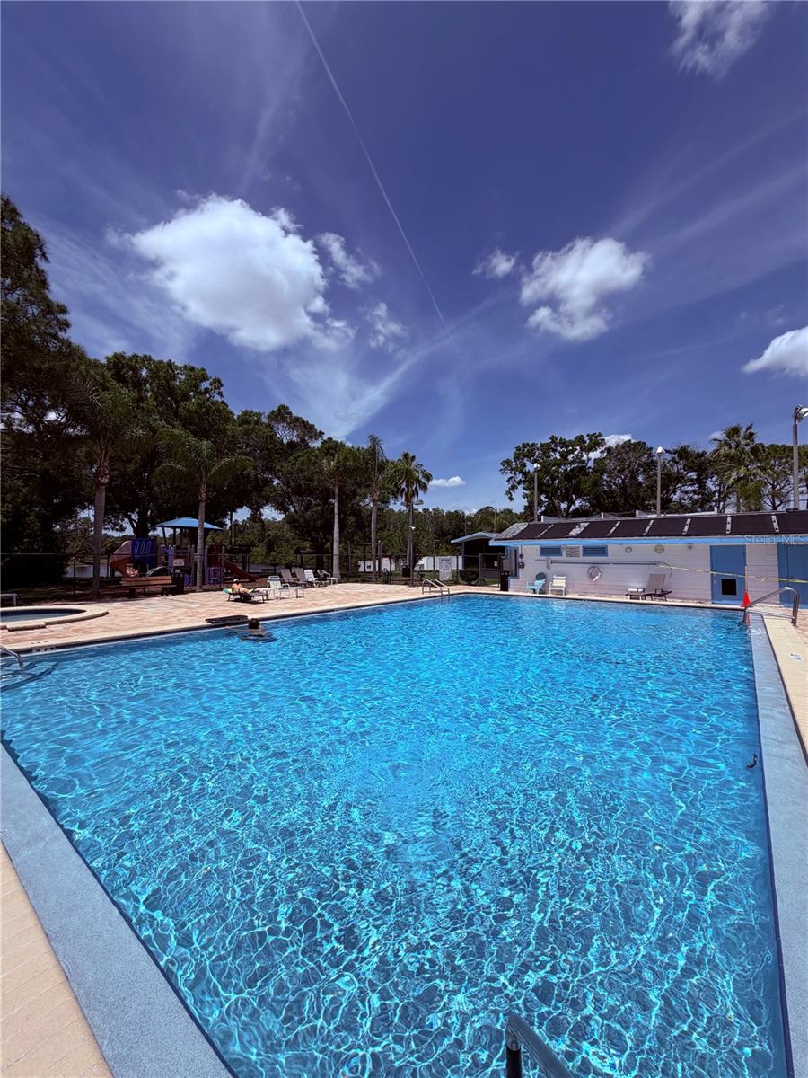 129 CAMPHOR CIR #F, OLDSMAR, FL, 34677