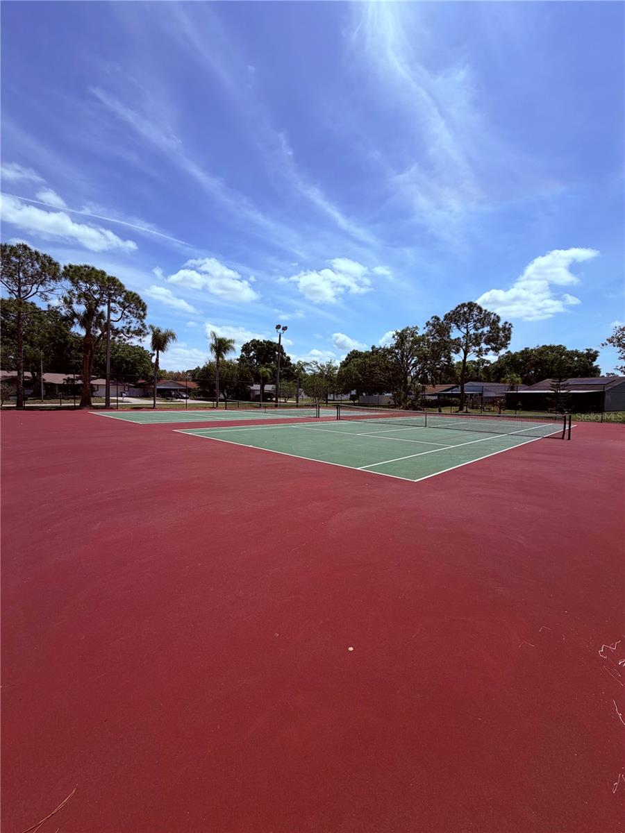 129 CAMPHOR CIR #F, OLDSMAR, FL, 34677