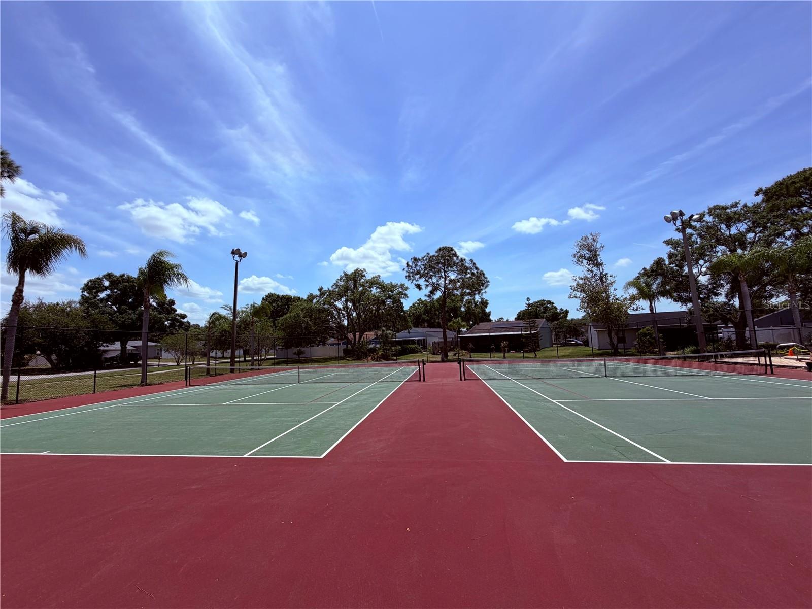 129 CAMPHOR CIR #F, OLDSMAR, FL, 34677